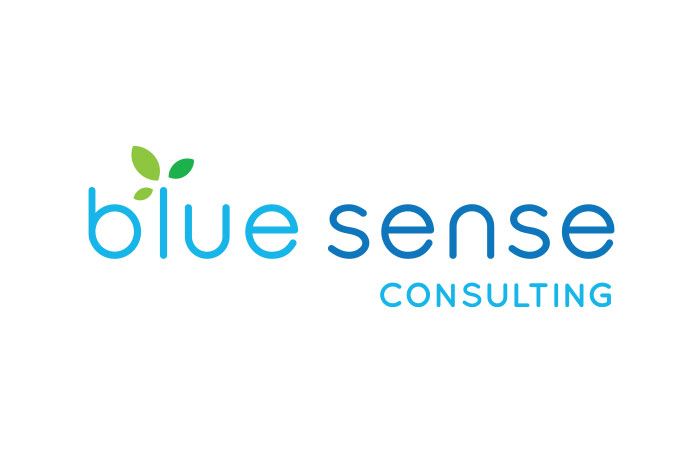Blue Sense Consulting logo